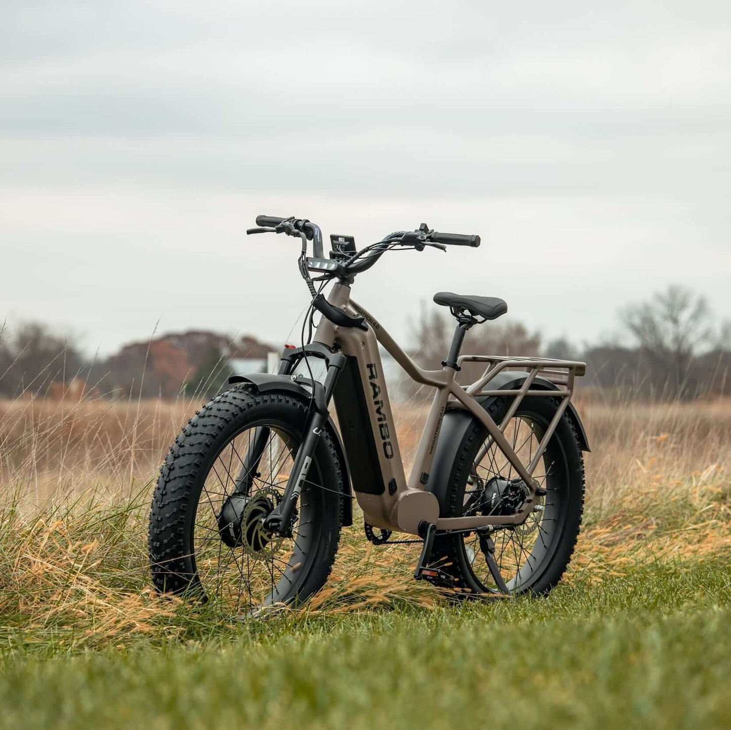 Electric bike in a grassy field with a cloudy sky