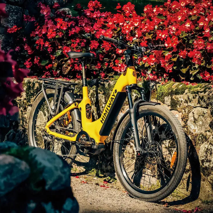 Yellow bicycle leaning against a stone wall with red flowers in the background