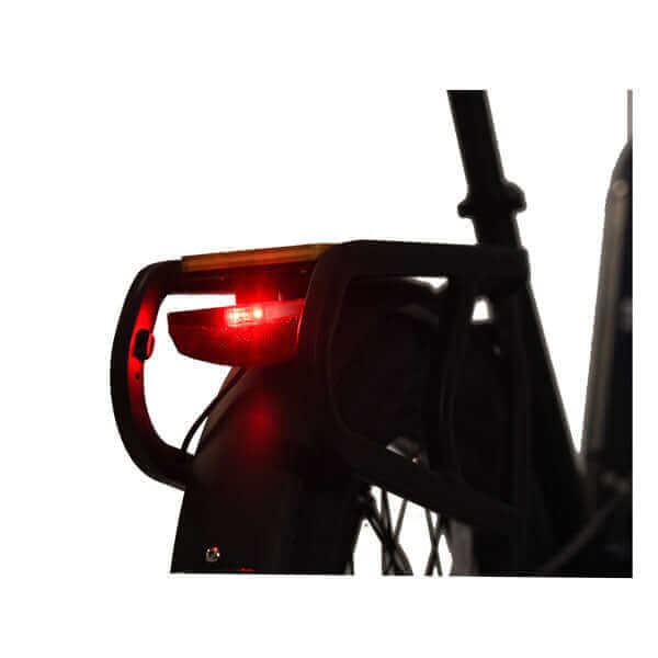 Ebike - Revi Runabout Utility Cargo Step-Through E-Bike