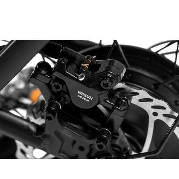 Ebike - Revi Runabout Utility Cargo Step-Through E-Bike