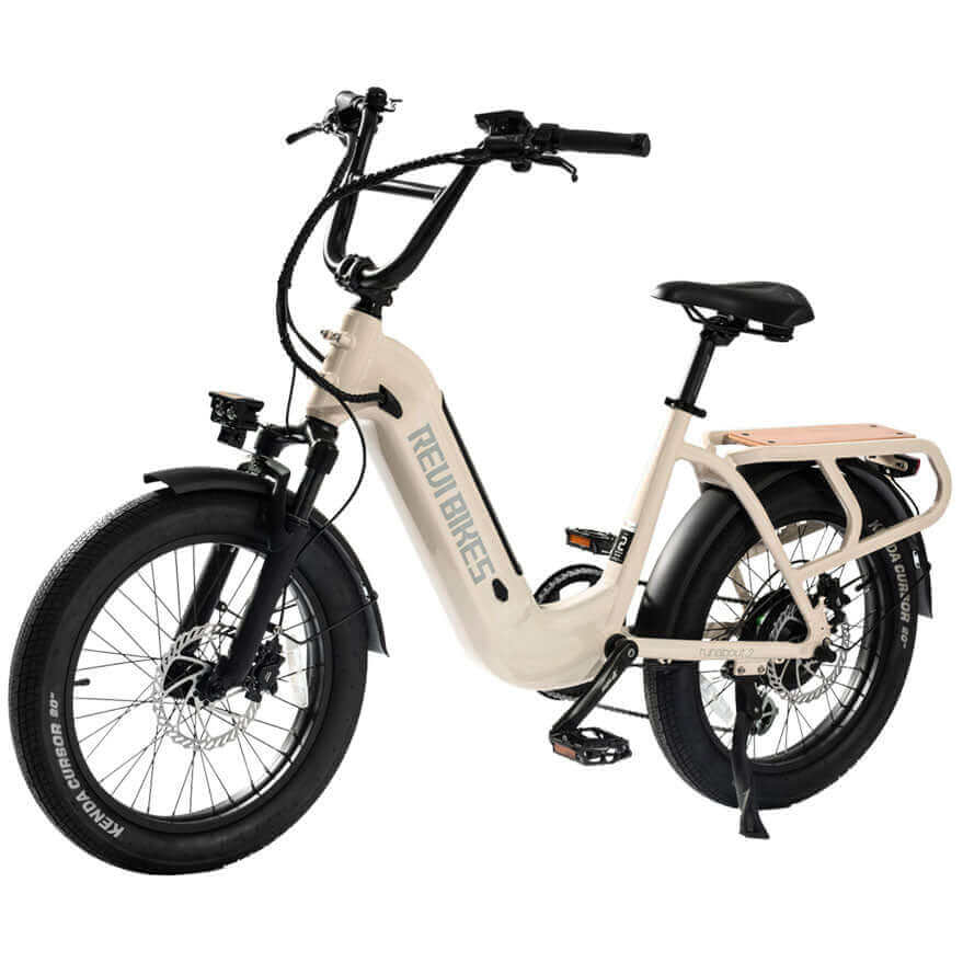 Ebike - Revi Runabout Utility Cargo Step-Through E-Bike