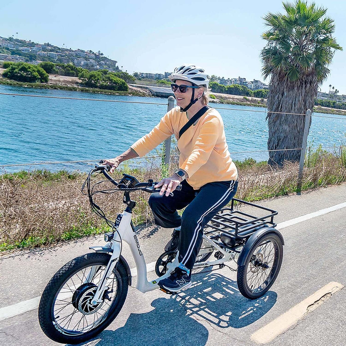 Emojo Bull 48V 500W Step-Thru Electric Trike