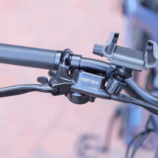 Rattan Sequoia Fat Tire Low Step Electric Bike