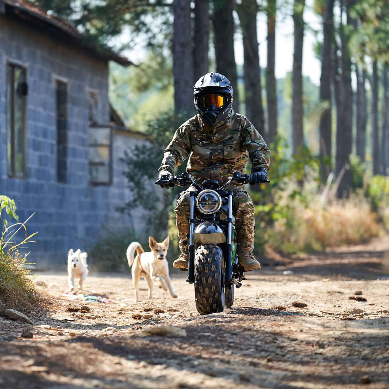 Child in camouflage riding an electric mini bike on a dirt path with two dogs running nearby.