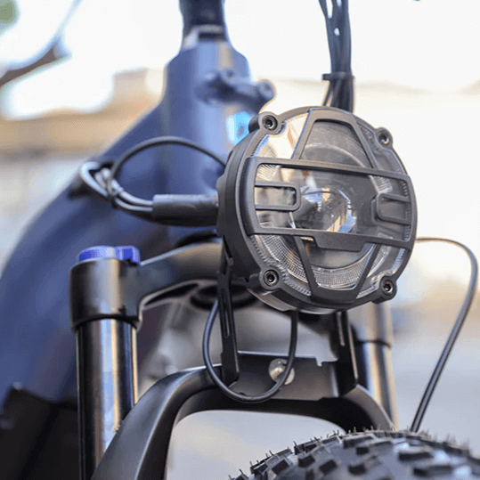 Rattan Sequoia Fat Tire Low Step Electric Bike