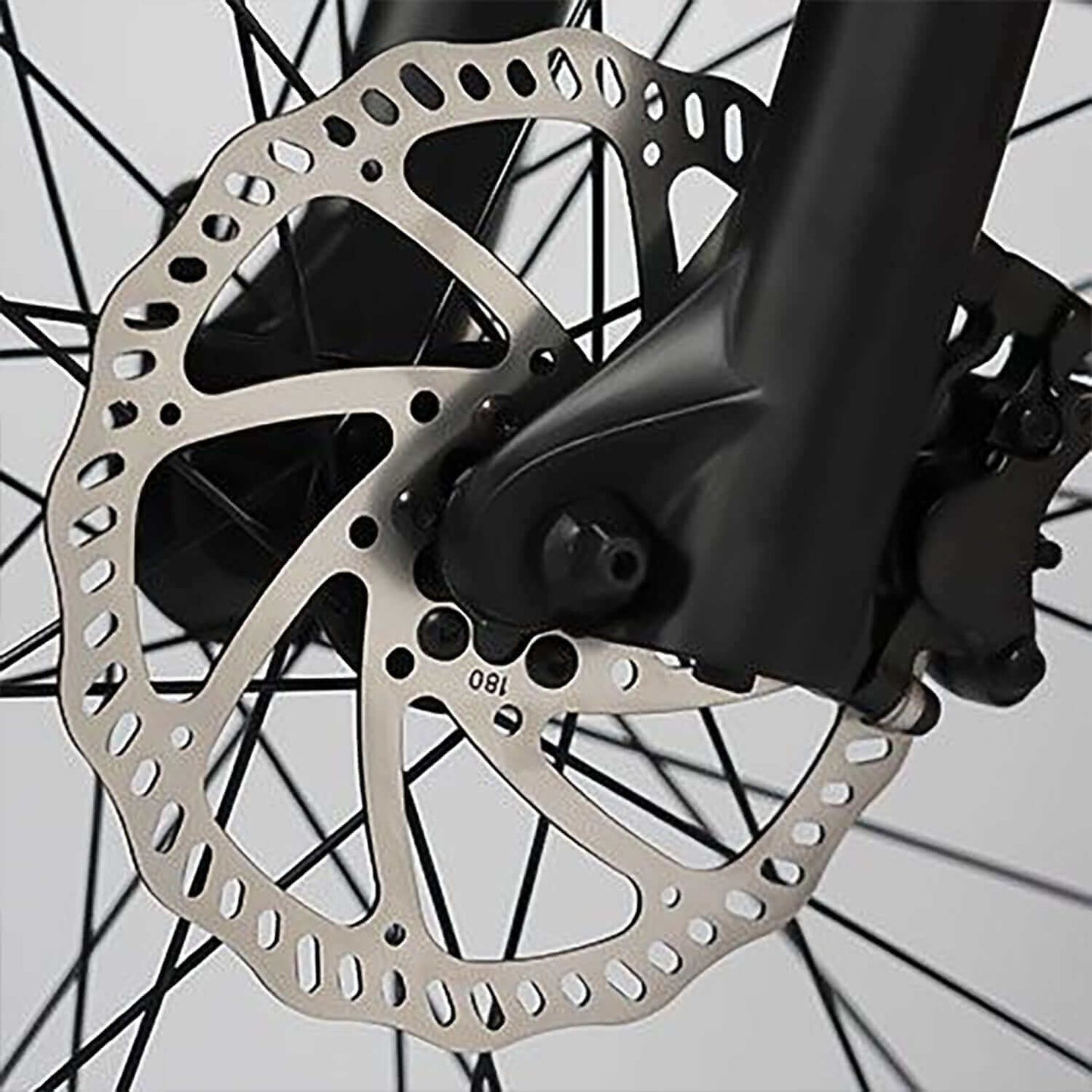 Rattan Pathfinder Fat Tire Electric Bike
