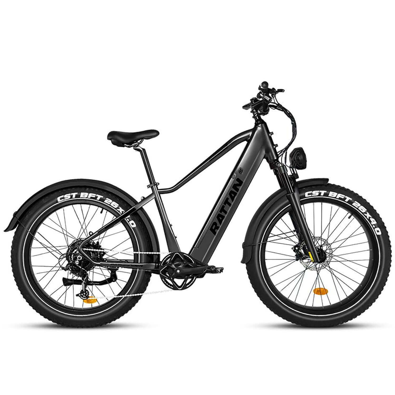 rattan electric bicycle Rattan Pathfinder Step-Over Fat Tire Electric Bike
