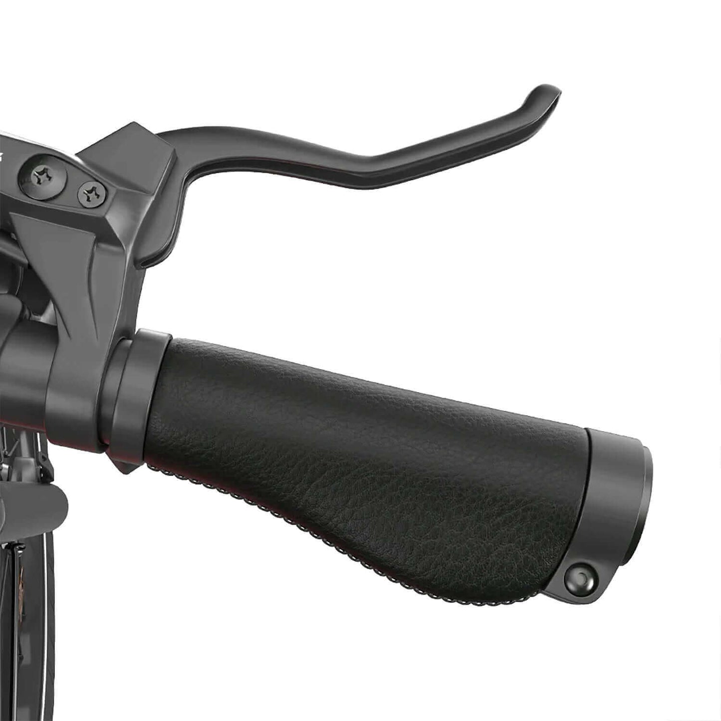 Rattan Pathfinder Fat Tire Electric Bike