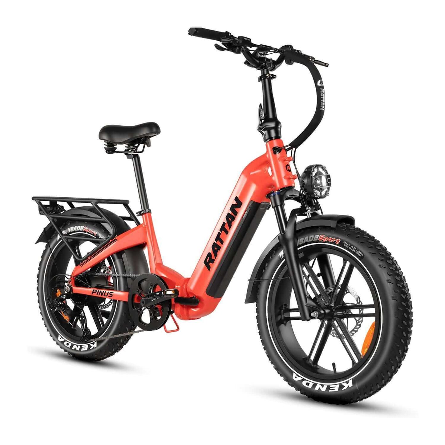 Rattan Pinus Foldable Electric Bike