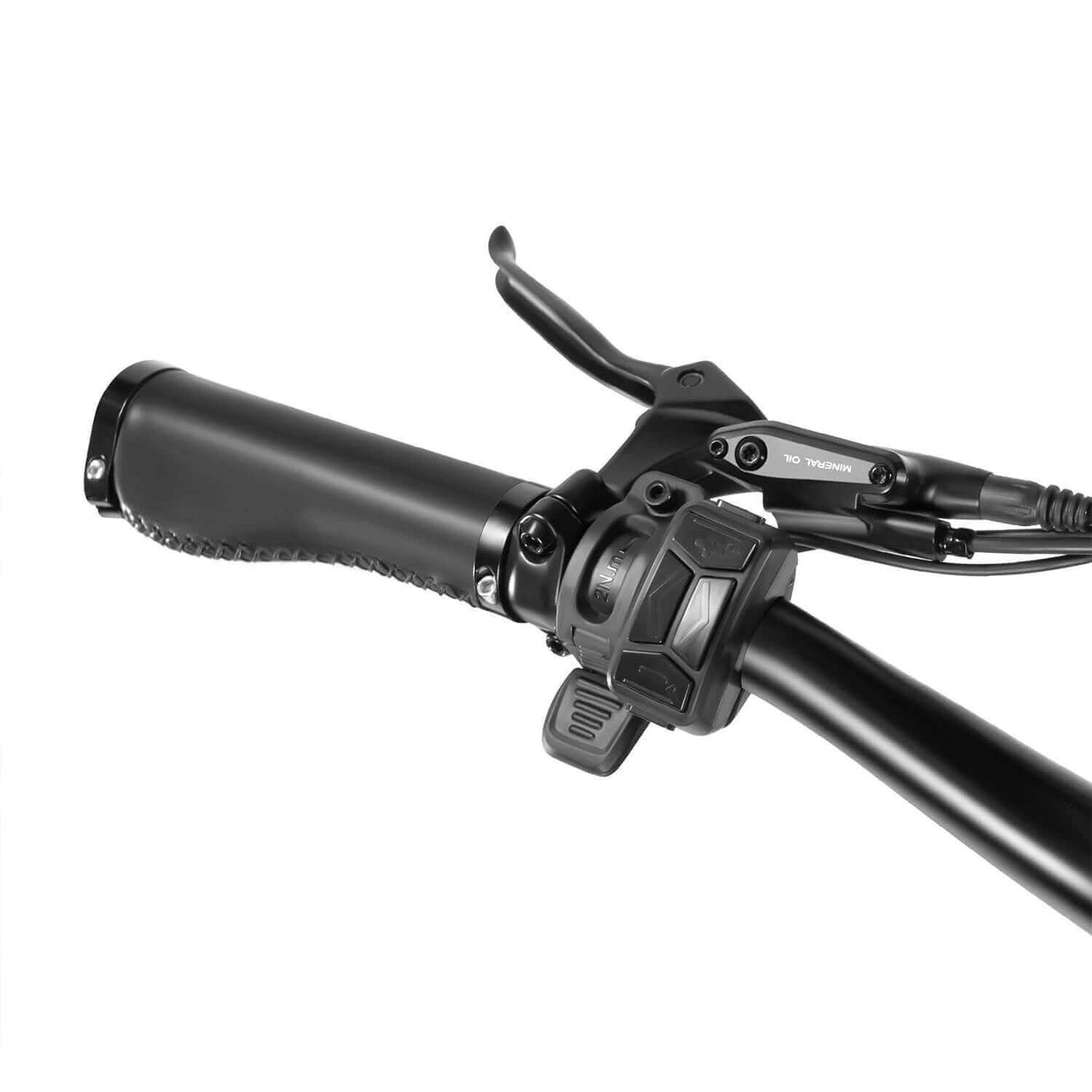 Rattan Pinus Foldable Electric Bike