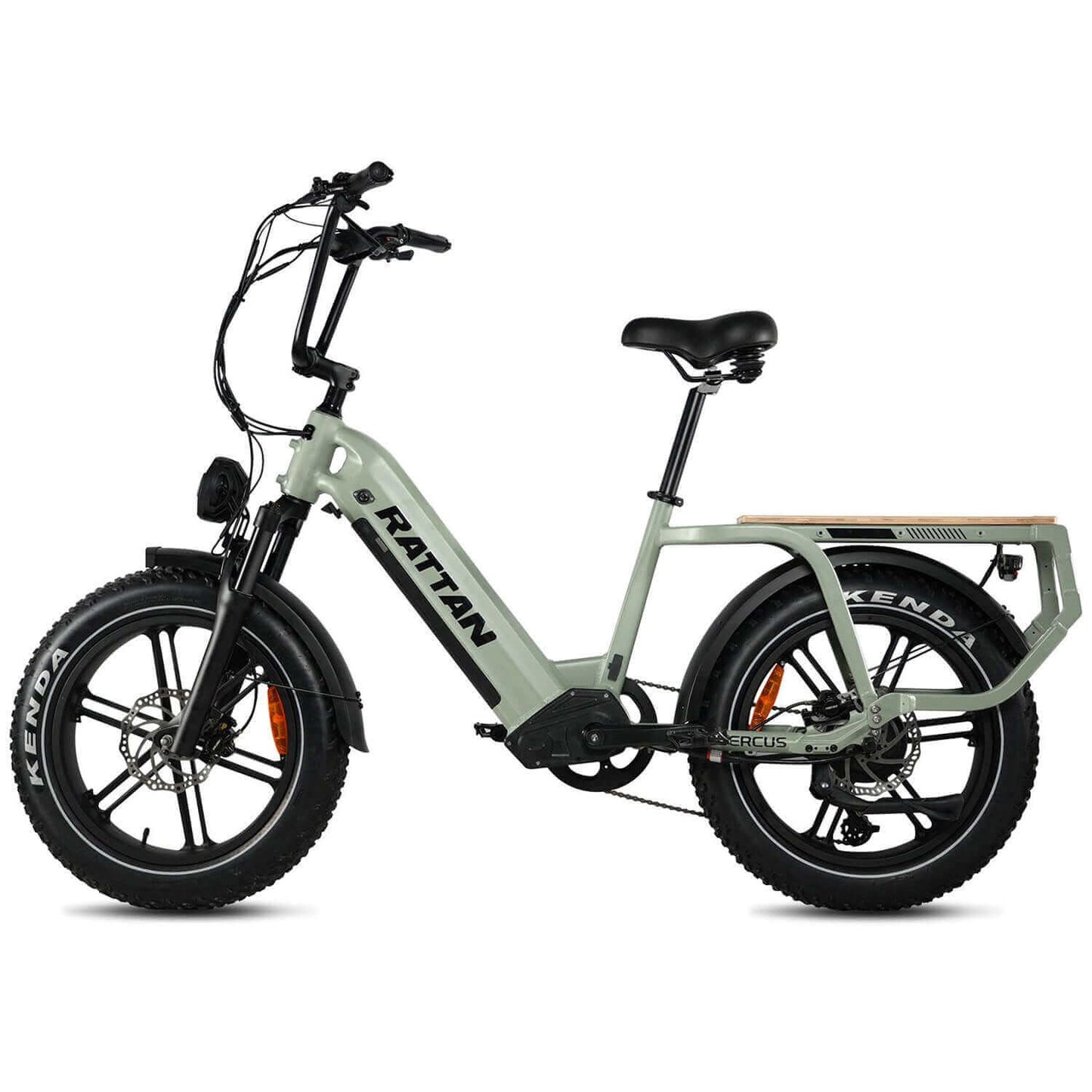 Rattan Quercus Fat Tire Cargo Electric Bike