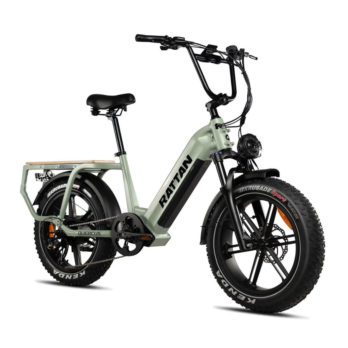 Rattan Quercus Fat Tire Cargo Electric Bike