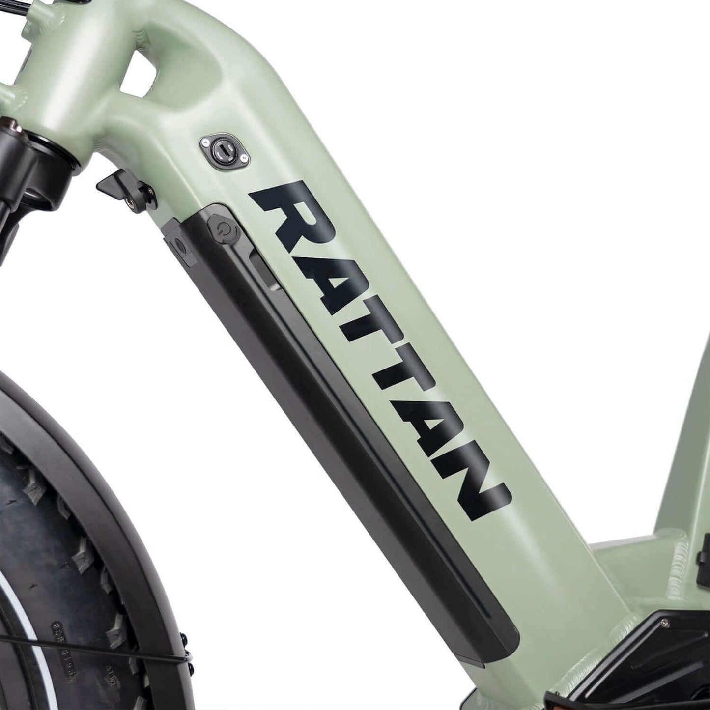 Rattan Quercus Fat Tire Cargo Electric Bike