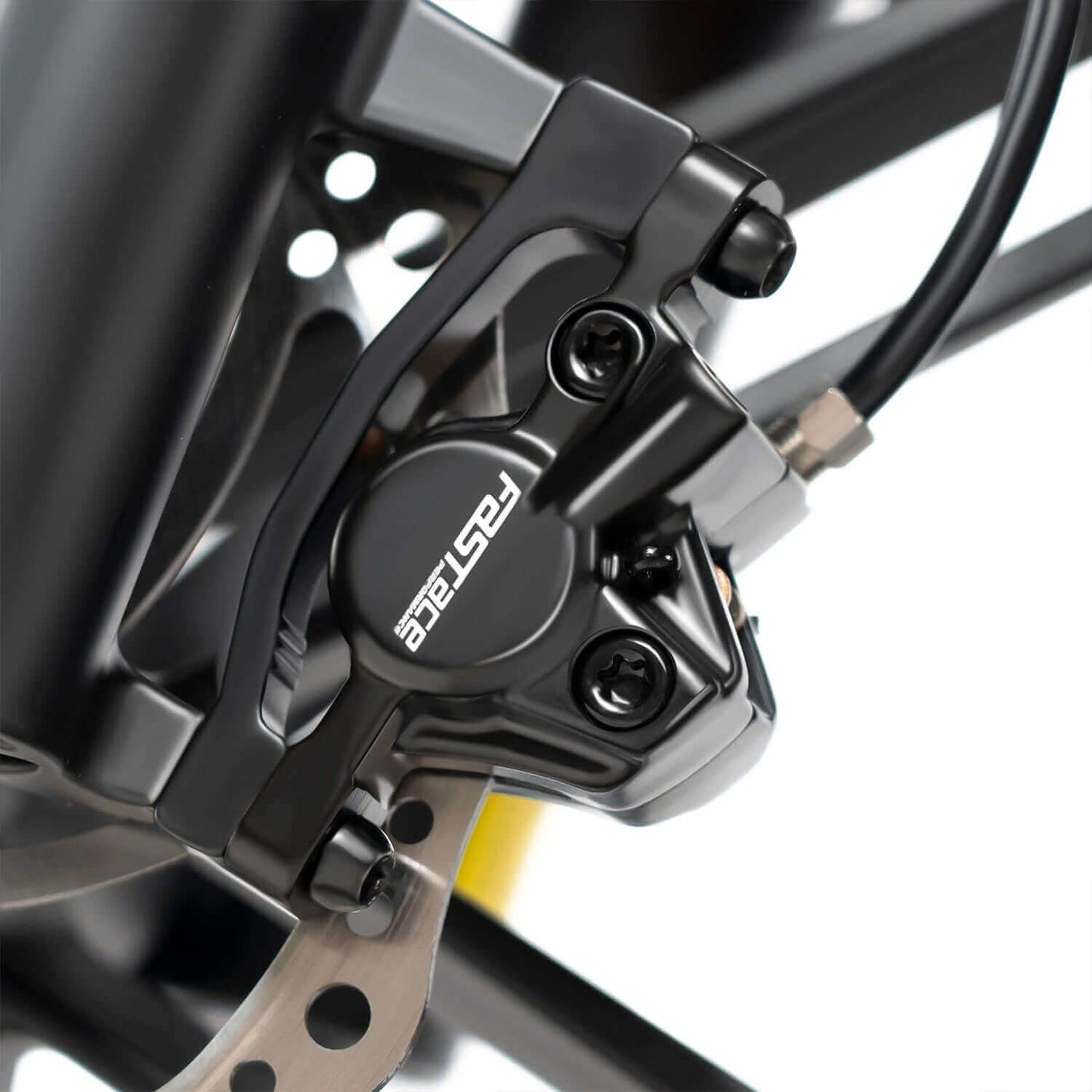 Rattan Quercus Fat Tire Cargo Electric Bike