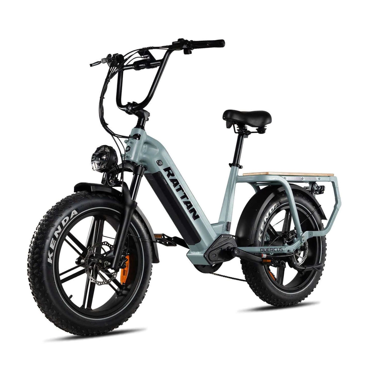 Rattan Quercus Fat Tire Cargo Electric Bike