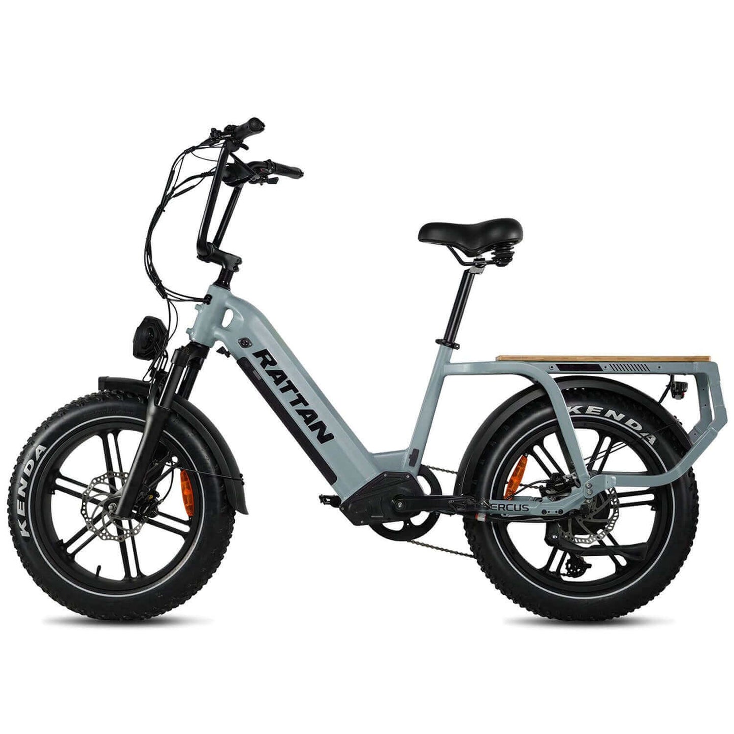 Rattan Quercus Fat Tire Cargo Electric Bike