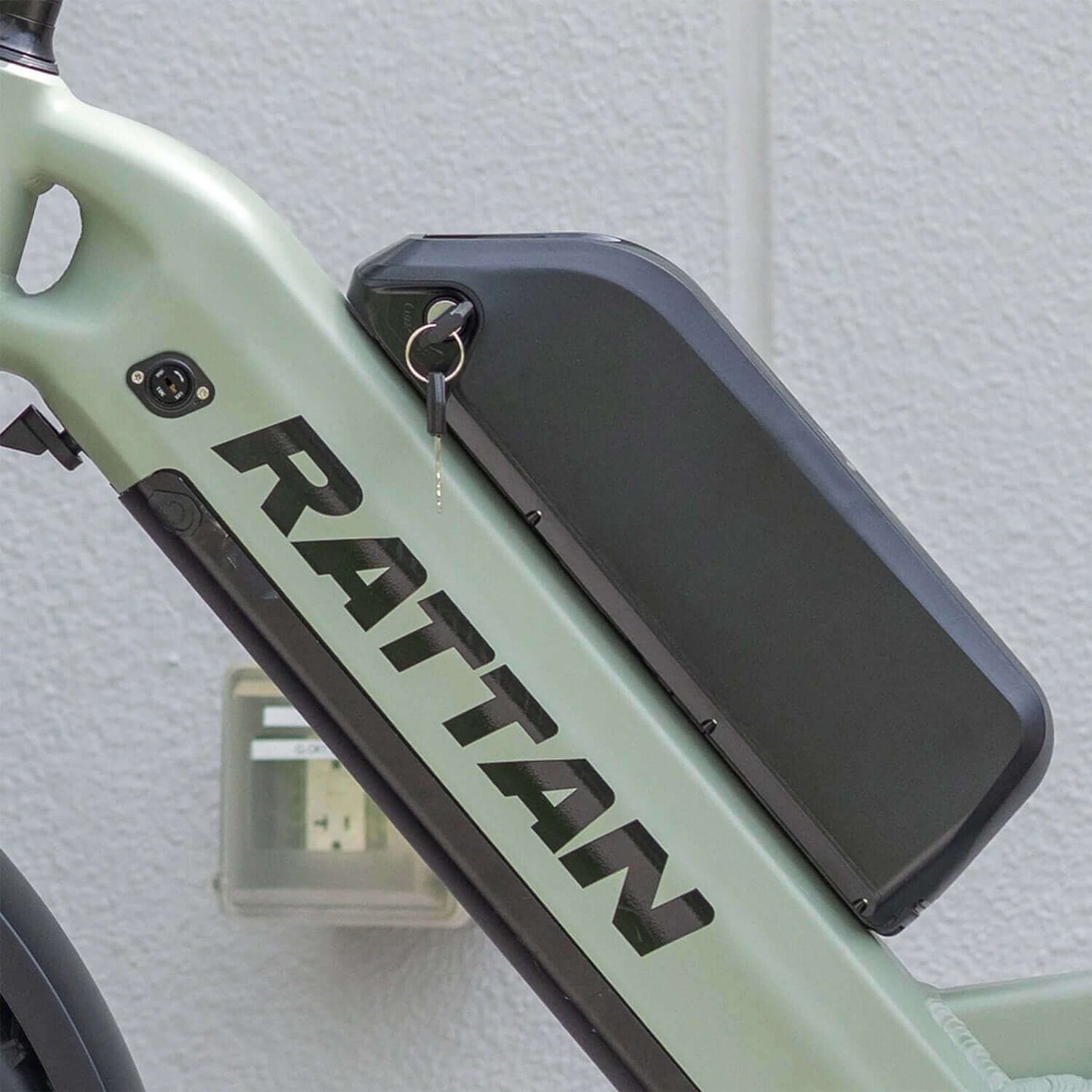 Rattan Quercus Fat Tire Cargo Electric Bike