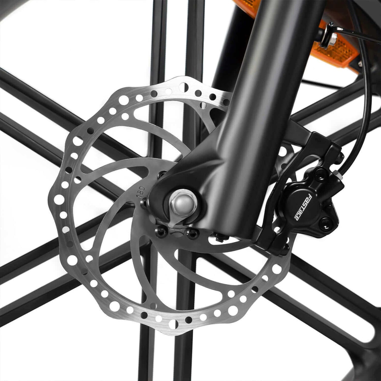 Rattan Quercus Fat Tire Cargo Electric Bike