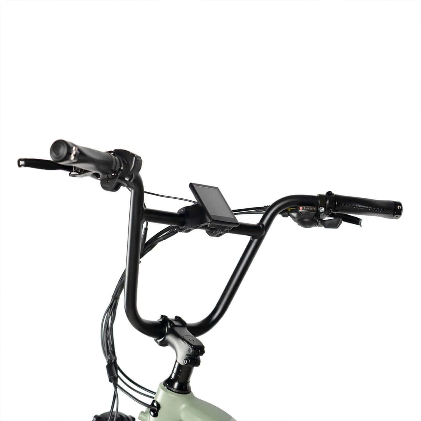 Rattan Quercus Fat Tire Cargo Electric Bike
