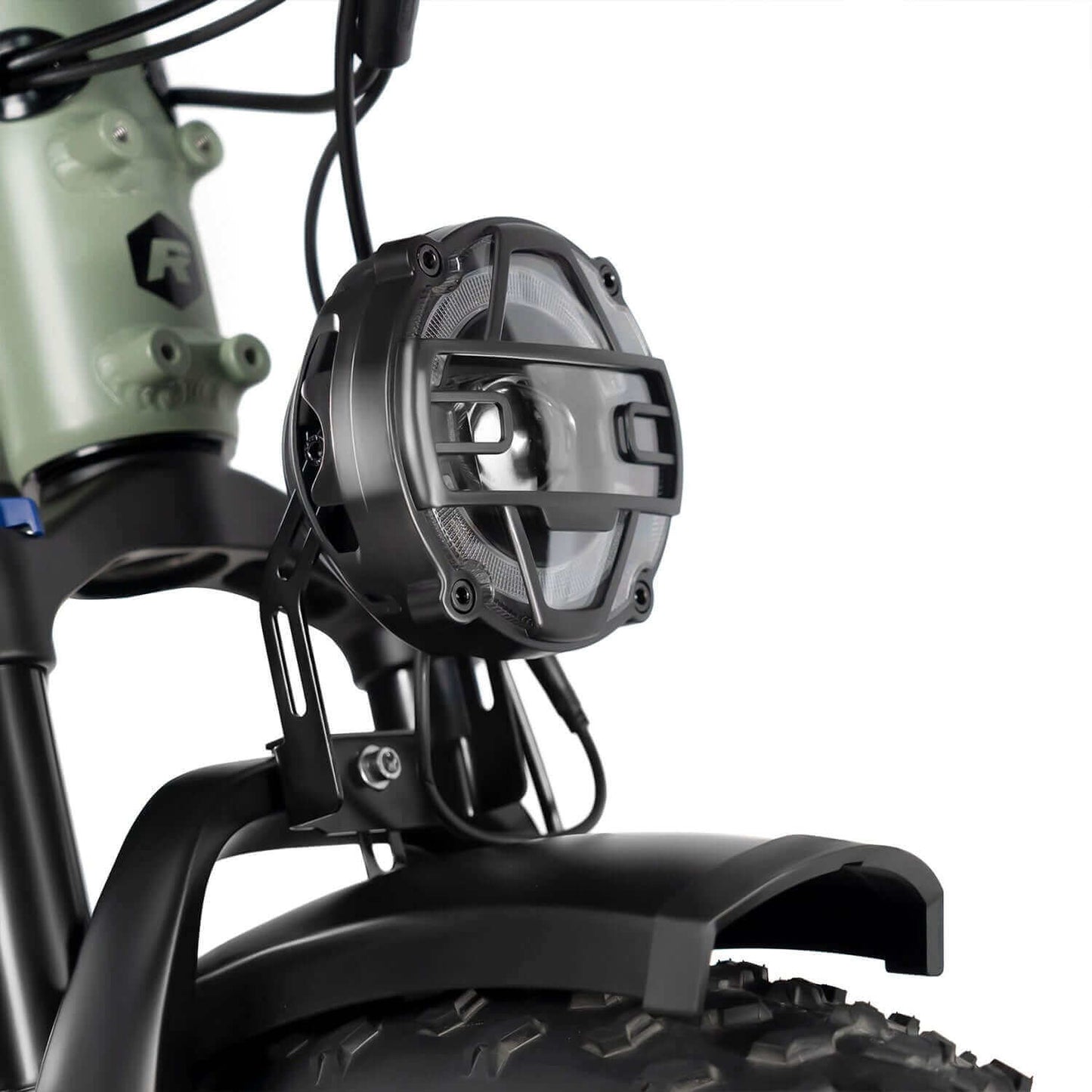 Rattan Quercus Fat Tire Cargo Electric Bike