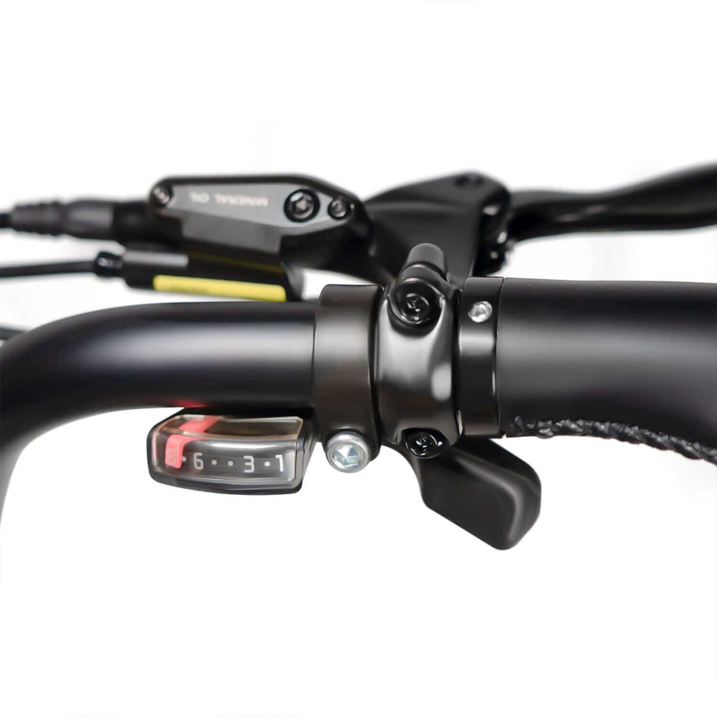 Rattan Quercus Fat Tire Cargo Electric Bike