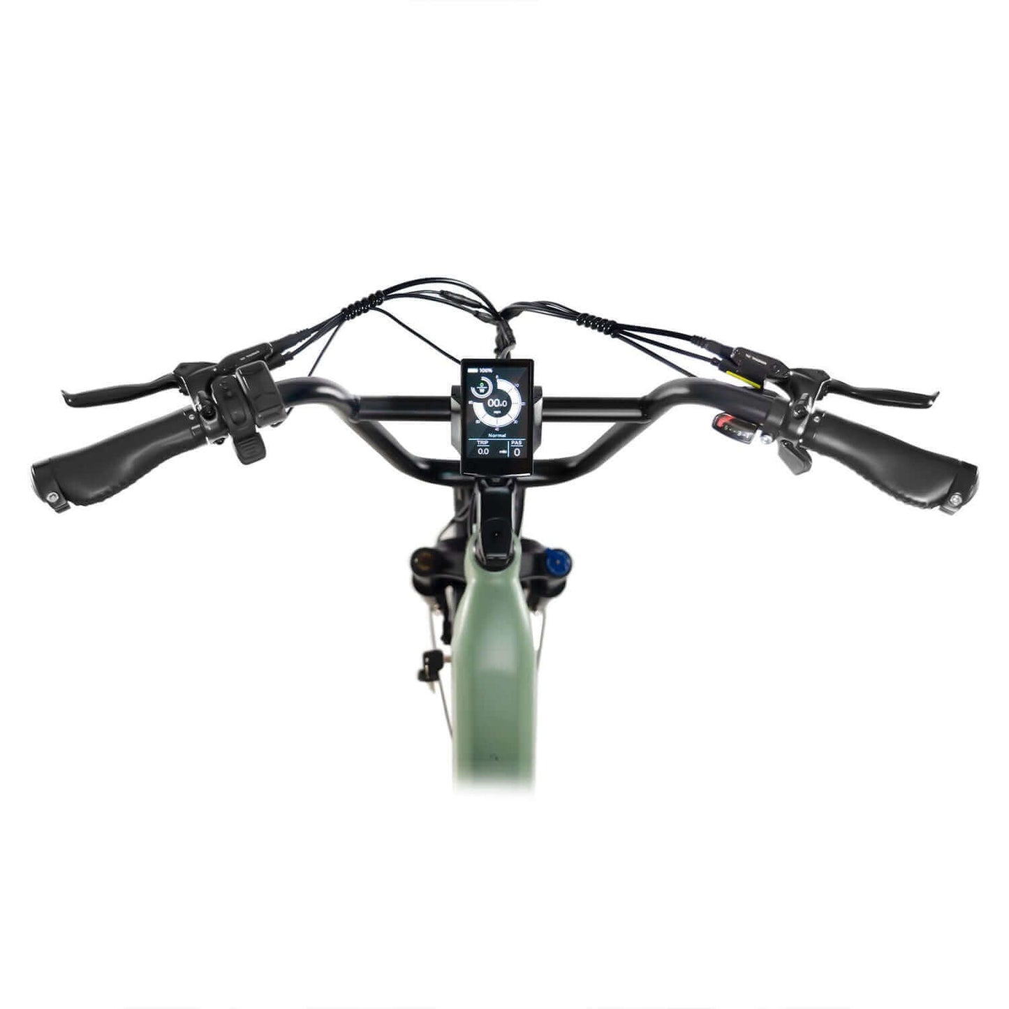 Rattan Quercus Fat Tire Cargo Electric Bike