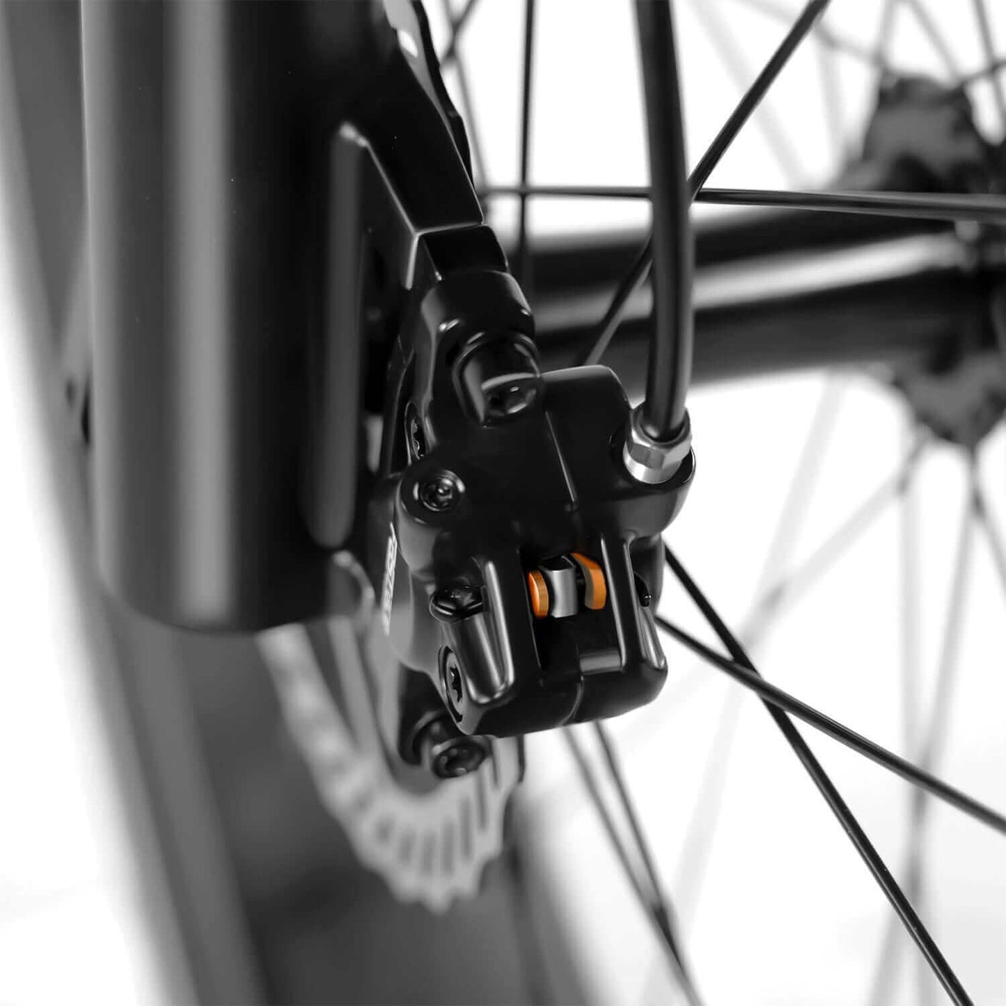 Rattan Sequoia Fat Tire Electric Bike