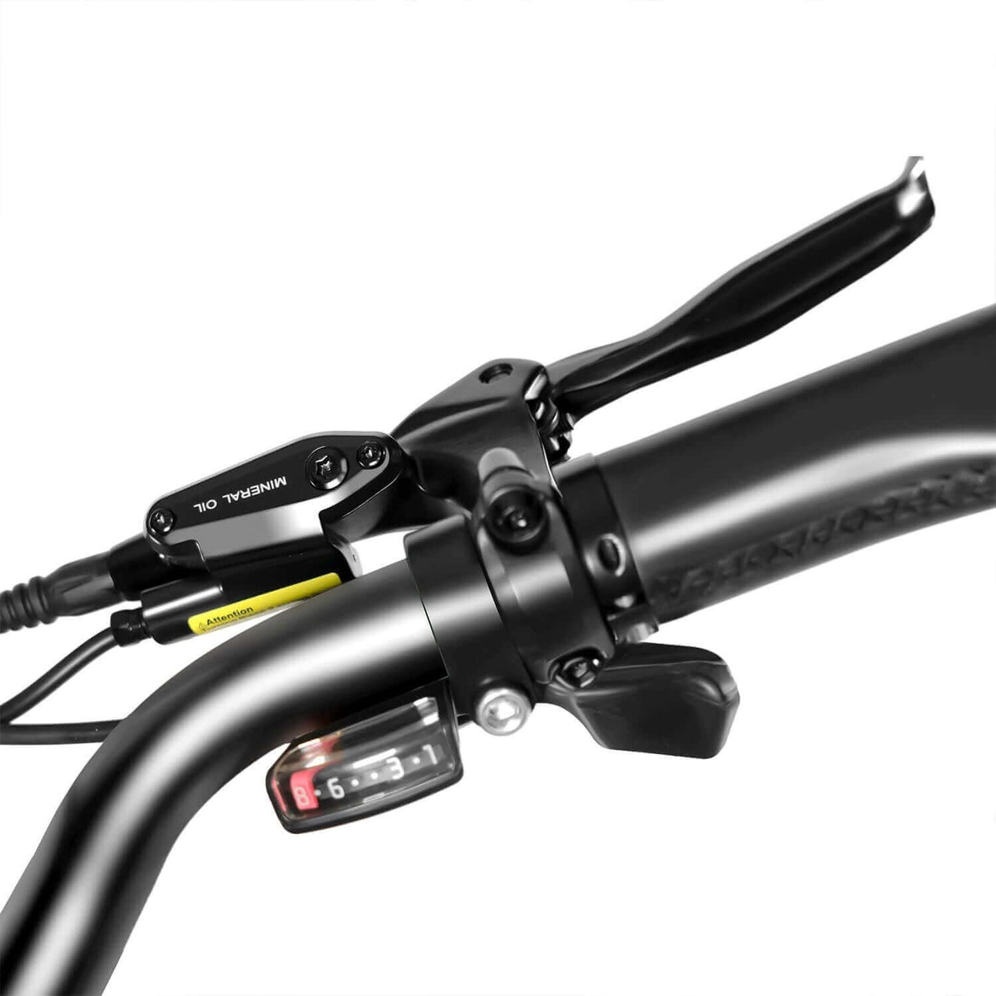 Rattan Sequoia Fat Tire Electric Bike