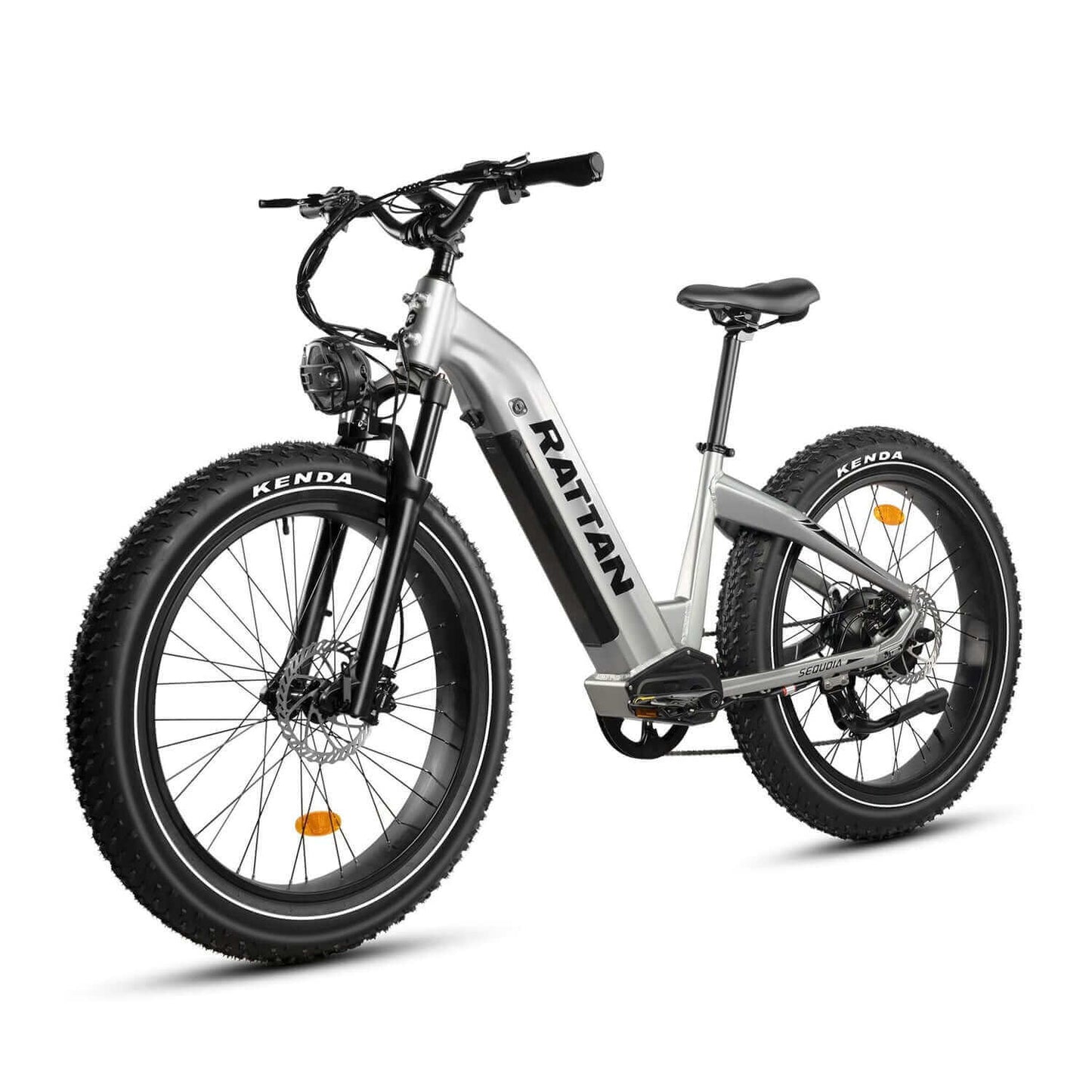 Rattan Sequoia Fat Tire Electric Bike