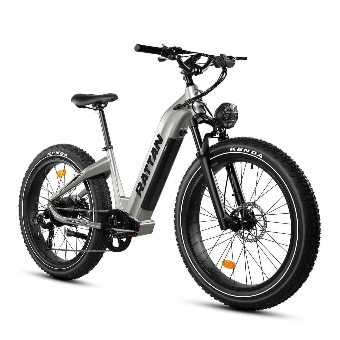 Rattan Sequoia Fat Tire Electric Bike