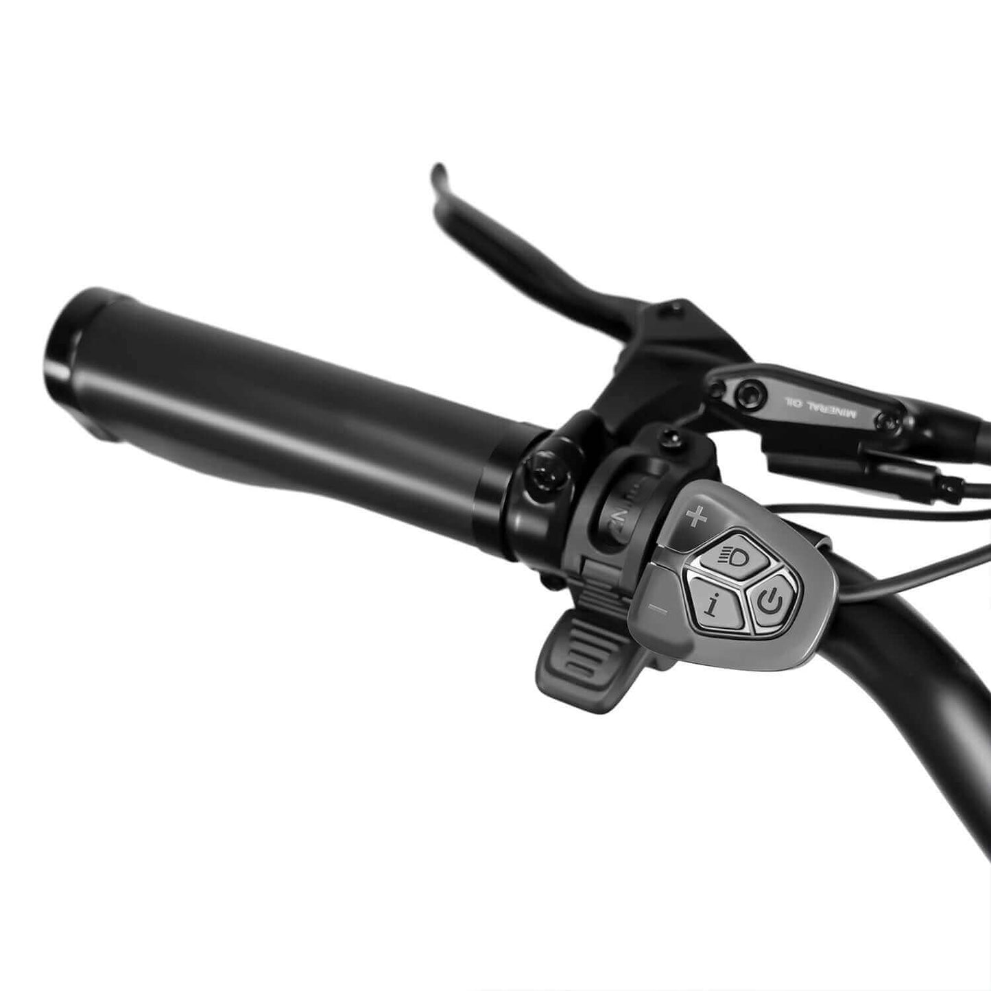Rattan Sequoia Fat Tire Electric Bike