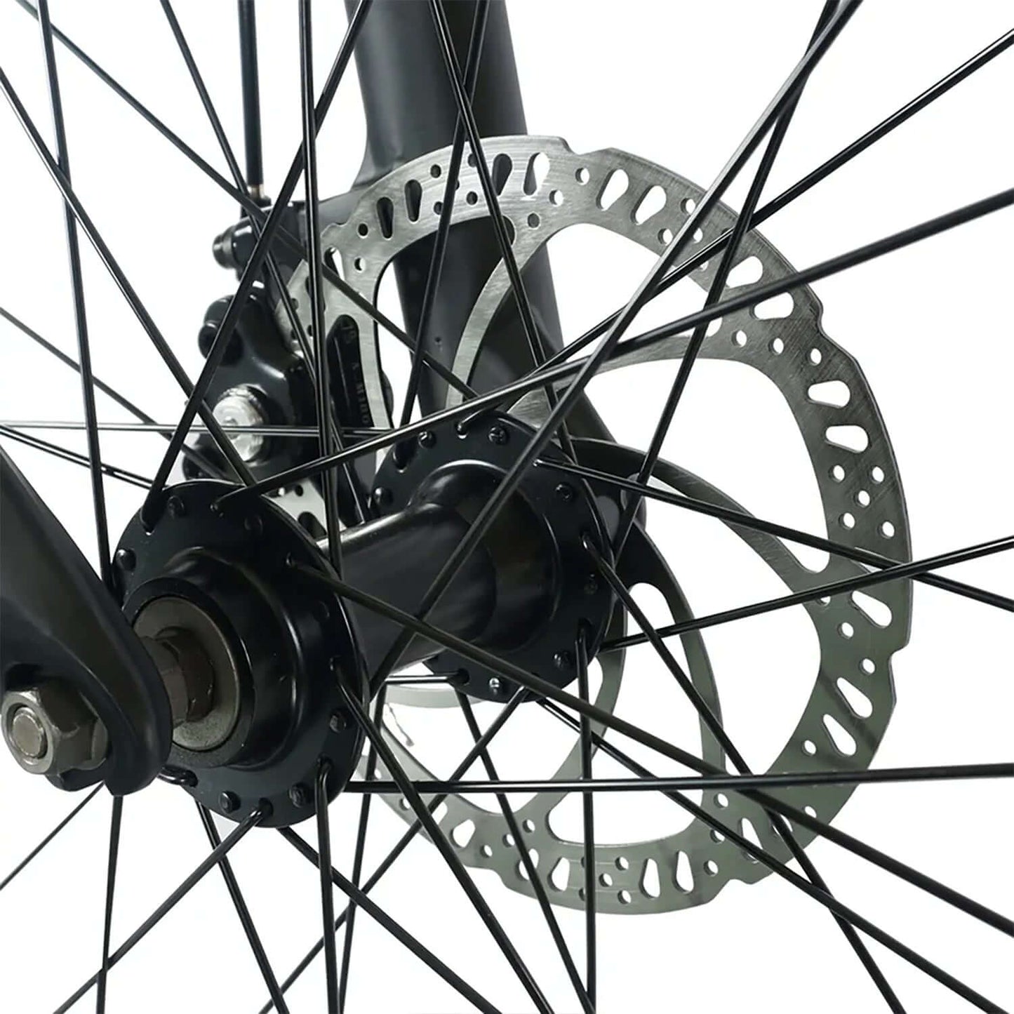 Close-up of a fat tire electric bike wheel showing the disc brake and spokes.