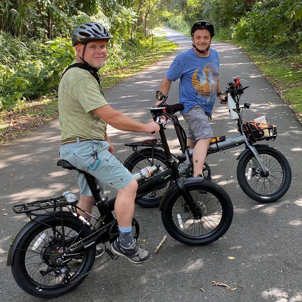 Ebike - Qualisports Dolphin 36V 350W Folding Beach Cruiser Electric Bike