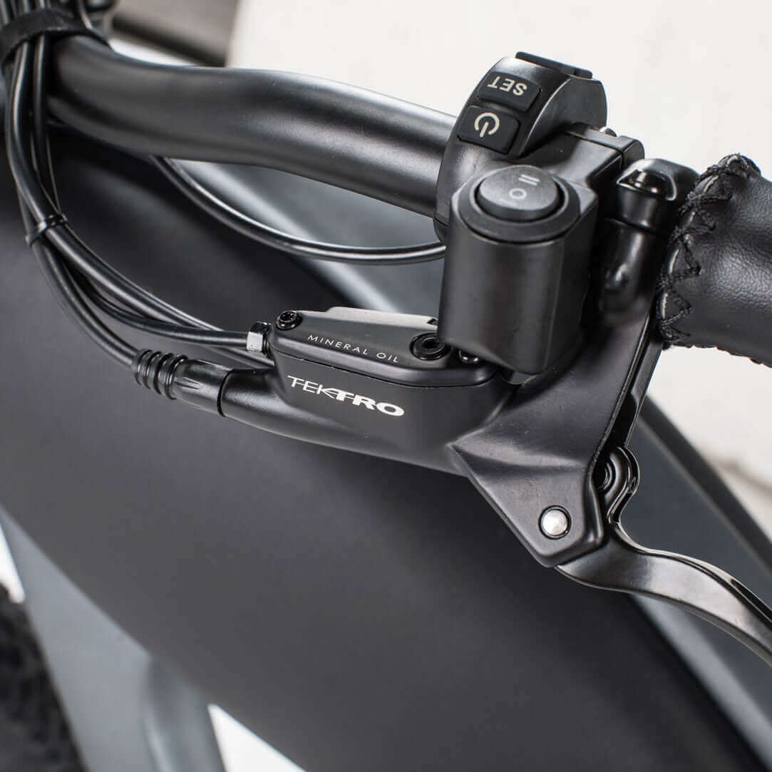 Ebike - Revi Cheetah Cafe Racer Vintage Motorcycle E-Bike