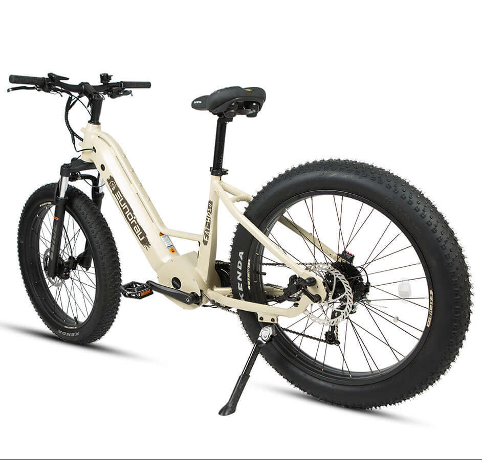 Beige electric bike on a white background