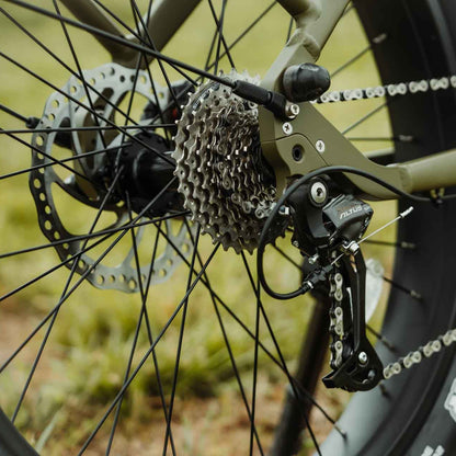 Close-up of a bicycle's gear system with a blurred natural background