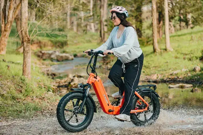 Young E-Flow Folding Low Step Electric Foldable