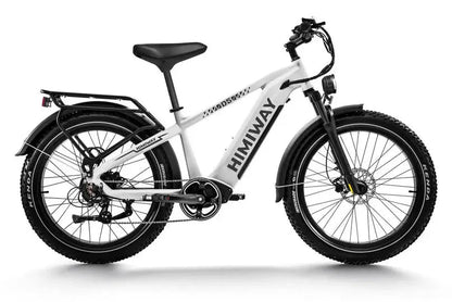 D5 Zebra | Himiway, All-terrain, Fat Tire