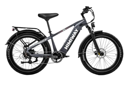 D5 Zebra | Himiway, All-terrain, Fat Tire