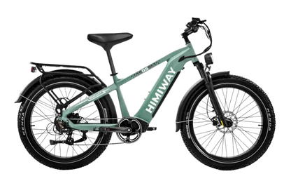 D5 Zebra | Himiway, All-terrain, Fat Tire