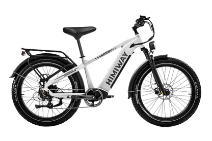 D5 Zebra | Himiway, All-terrain, Fat Tire