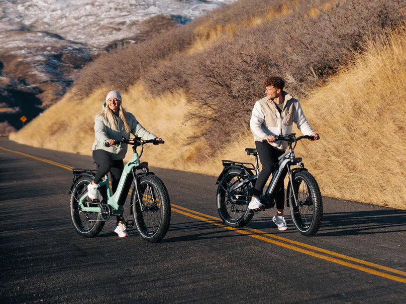 D5 Zebra | Himiway, All-terrain, Fat Tire