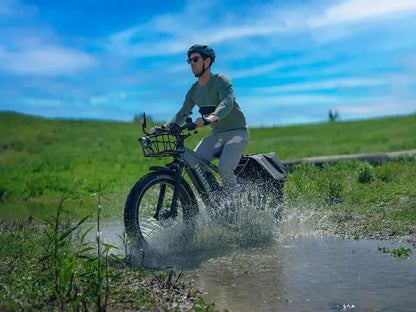 D5 Zebra | Himiway, All-terrain, Fat Tire