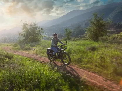 D5 Zebra | Himiway, All-terrain, Fat Tire