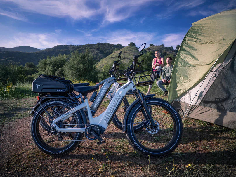 D5 Zebra | Himiway, All-terrain, Fat Tire
