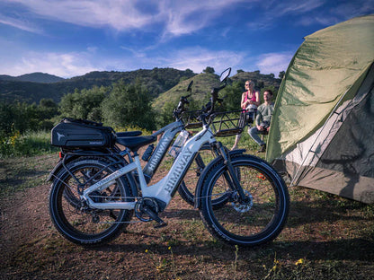 D5 Zebra | Himiway, All-terrain, Fat Tire