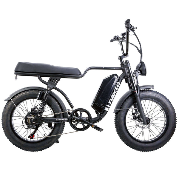 Nakto 20" F2 Fat Tire Professional Electric Bike