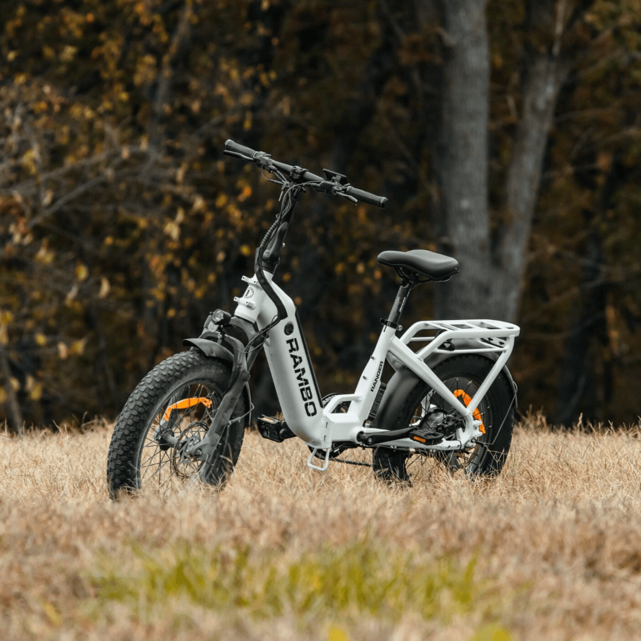 White electric bike with 'Bianchi' branding in a field with trees in the background