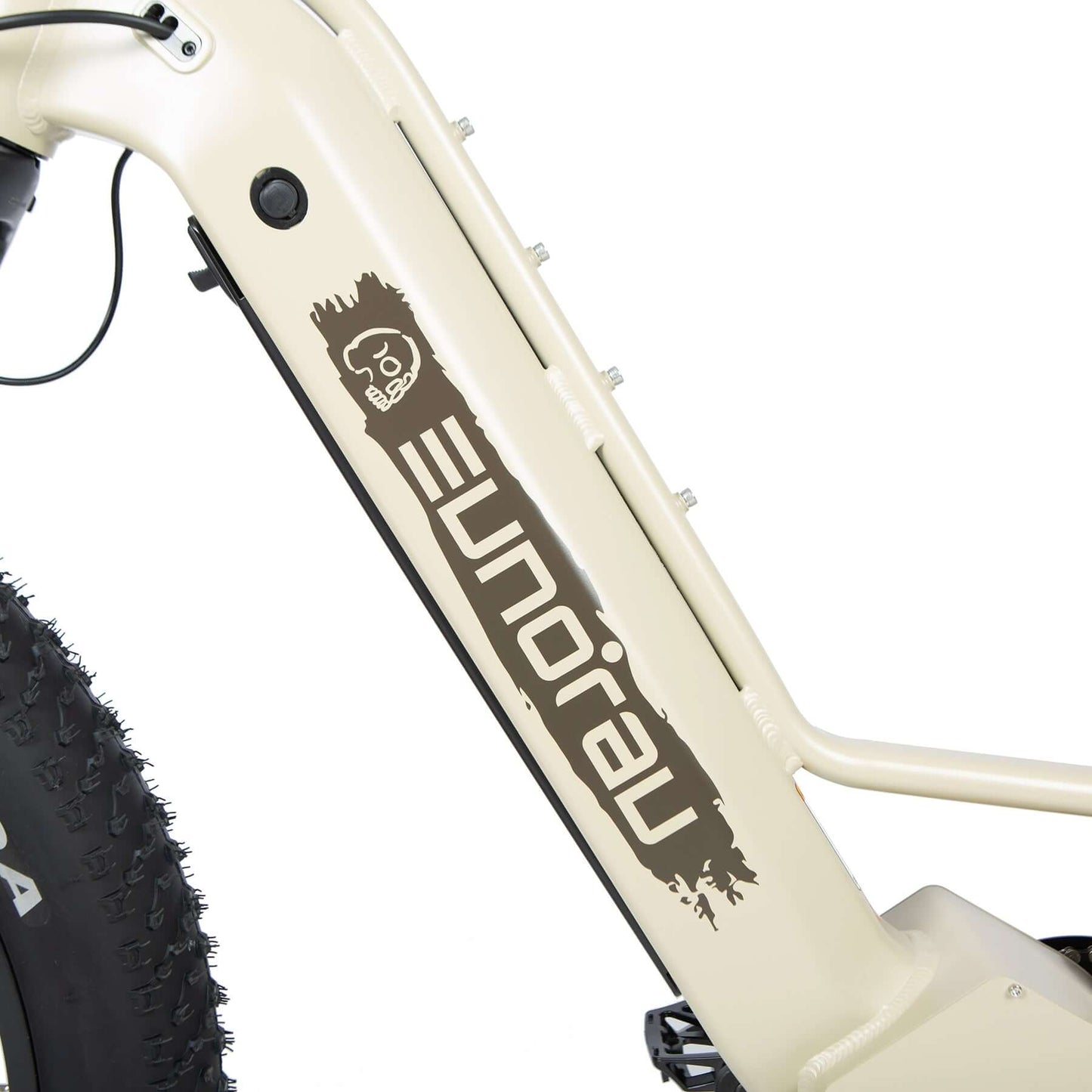 Close-up of a bicycle frame with 'Elnora' branding on a white background