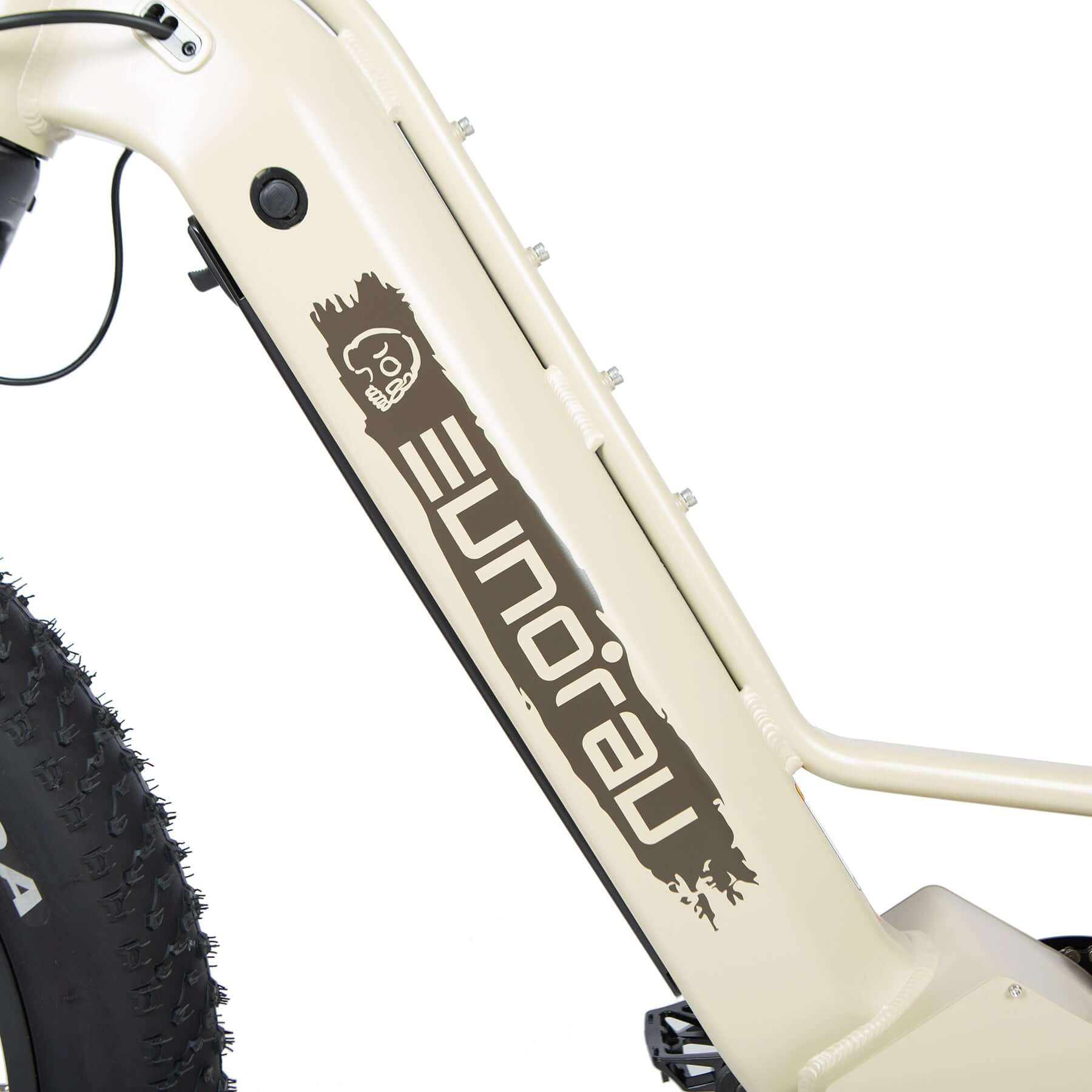 Close-up of a bicycle frame with 'Elnora' branding on a white background